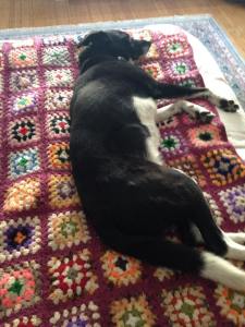 10372785_10152970650277492_6528290204659279631_n